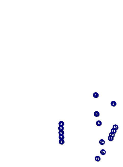 Modern Dance Black Flyer Front Field Markers