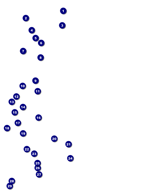 Dance Circles Flyer Front Field Markers