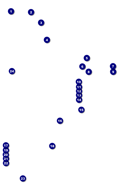 Class Reunion Mascot Blue Flyer Front Field Markers