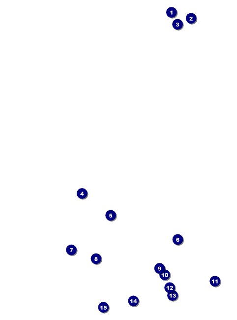 Chinese New Year 2014 Flyer Front Field Markers