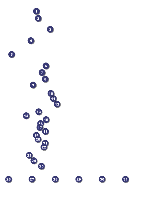 Nature Series - Blue Ocean Flyer Front Field Markers