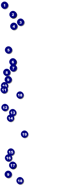 Carnival Event Ticket Front Field Markers