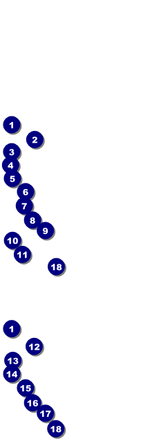 Snowflake Ornament Event Ticket Front Field Markers