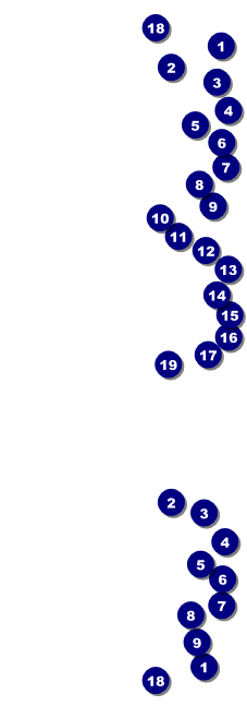 Camouflage Ticket Front Field Markers