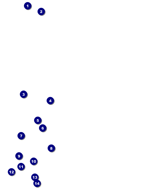 Renaissance Faire Armor Invitation Front Field Markers