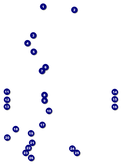 American Football Lights Invitation Front Field Markers