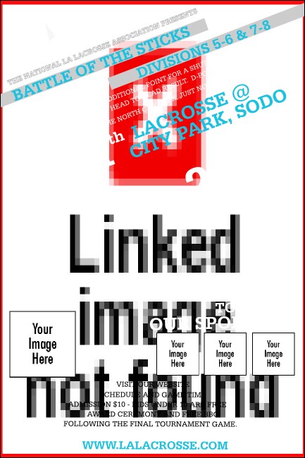 Lacrosse Stick Poster Product Front