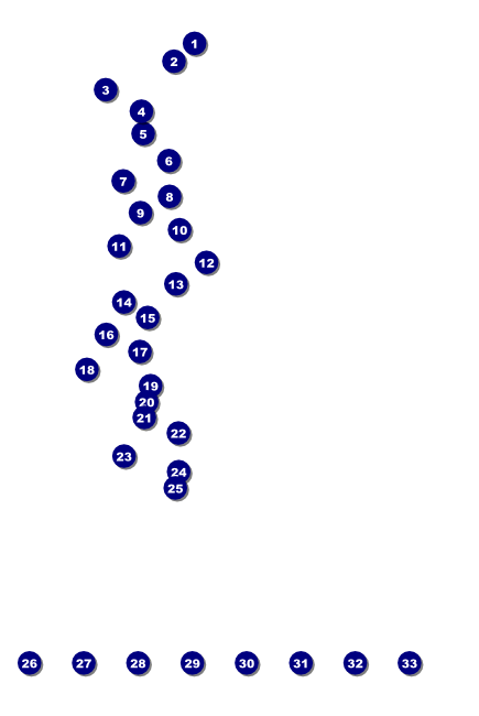 Mixed Martial Arts Poster (Green) Front Field Markers