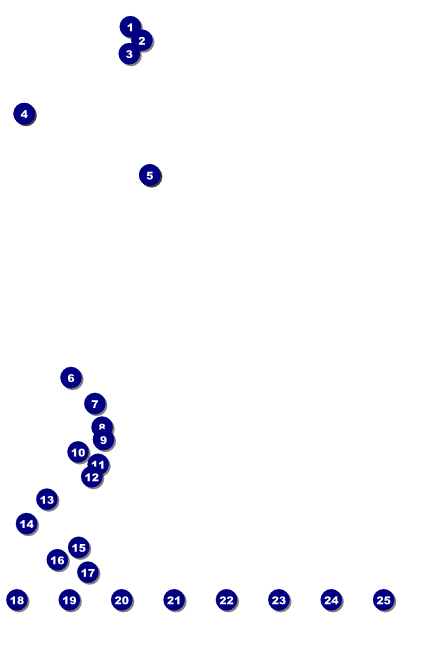 Chinese New Year Celebration Logo Poster Front Field Markers