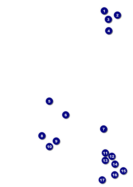 Chinese New Year Post Card Front Field Markers