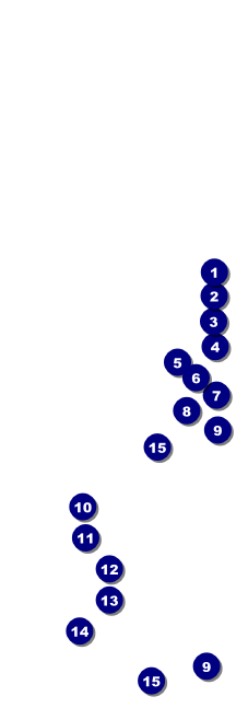 Modern Dance Black Raffle Ticket Front Field Markers