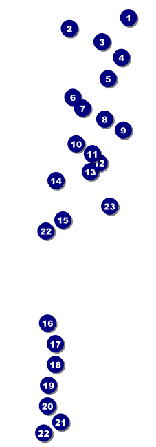 Casino Dealer Raffle Ticket Front Field Markers