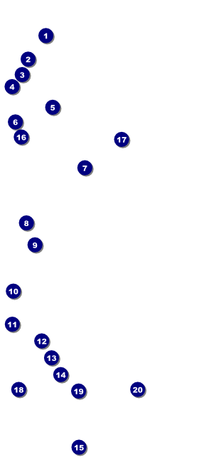 Versus Black VIP Pass Front Field Markers