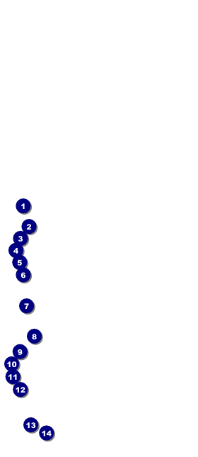 Snowflake Ornament VIP Pass Front Field Markers