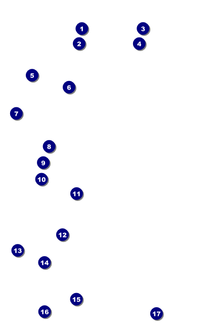 Car Racing Drink Ticket Front Field Markers