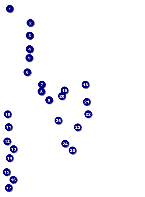 Auto Racing Invitation Front Field Markers