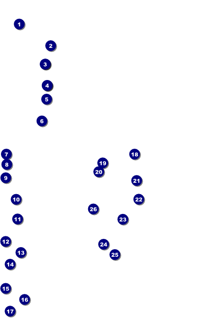 Auto Racing Poster Front Field Markers