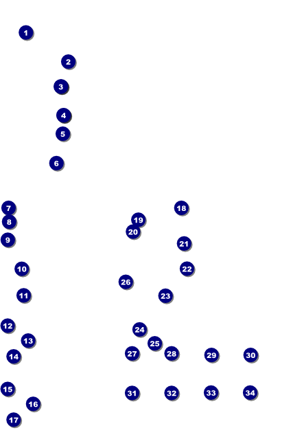 Auto Racing Logo Poster Front Field Markers