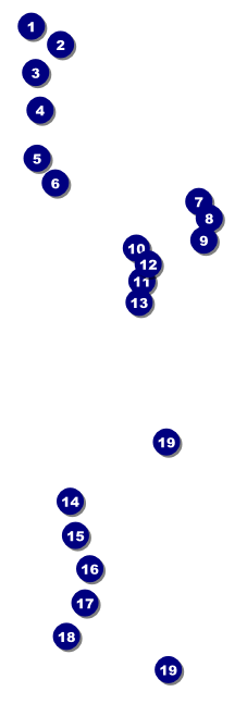 Blues Raffle Ticket Front Field Markers