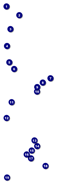 Blues VIP Pass Front Field Markers