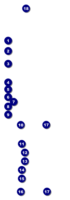 Baseball Schedule Raffle Ticket Front Field Markers