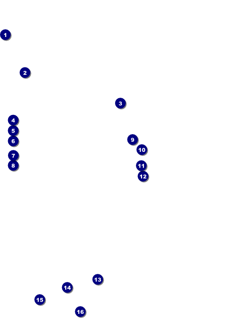 Egyptian Flyer Front Field Markers