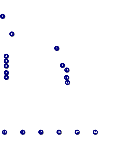 Egyptian Logo Flyer Front Field Markers