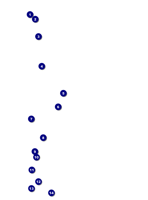 50th Anniversary Flyer Front Field Markers