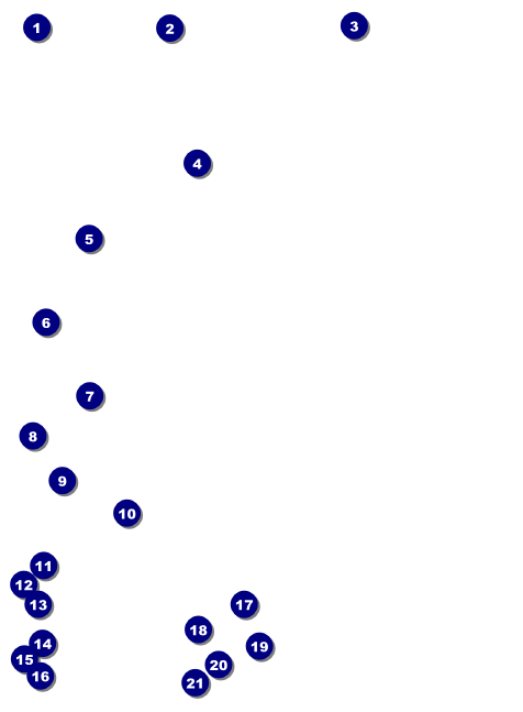 All Purpose Lights Invitation Front Field Markers