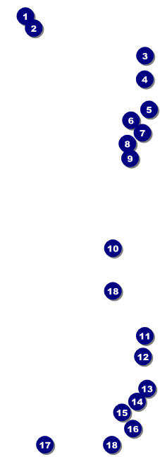 Chinese Event Ticket Front Field Markers