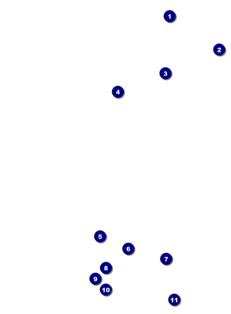 Reggae Lion Invitation Front Field Markers