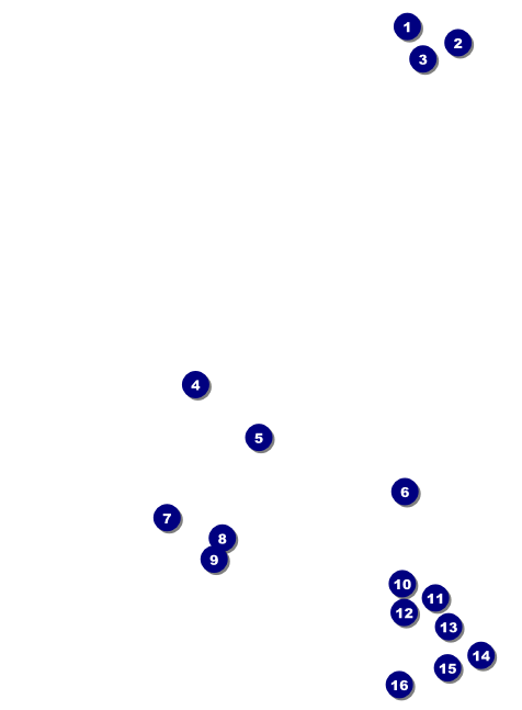 Chinese New Year Monkey Invitation Front Field Markers