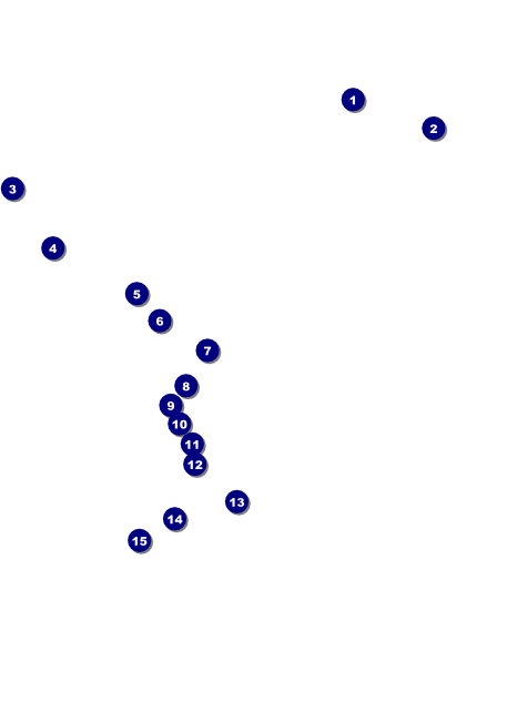 All Purpose Geometric Black and White Flyer Front Field Markers