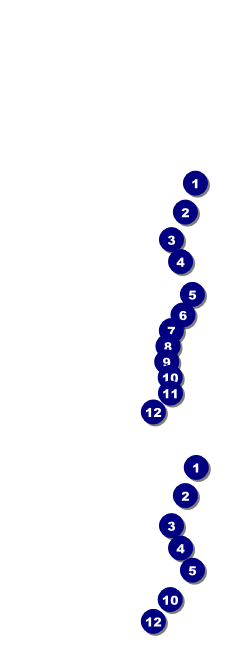 Melbourne Cup Event Ticket Front Field Markers