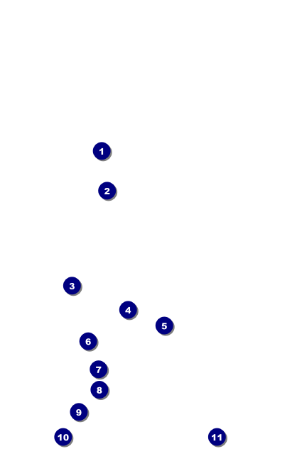 Australia Day Drink Ticket Front Field Markers