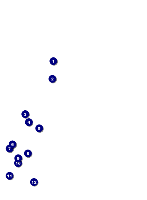Australia Day Invitation Front Field Markers