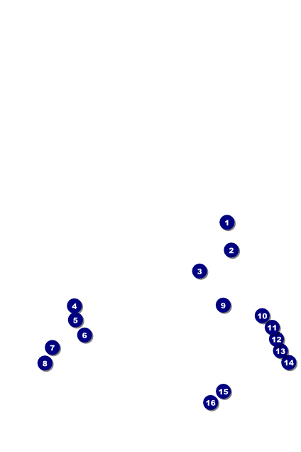Net Ball Poster Front Field Markers