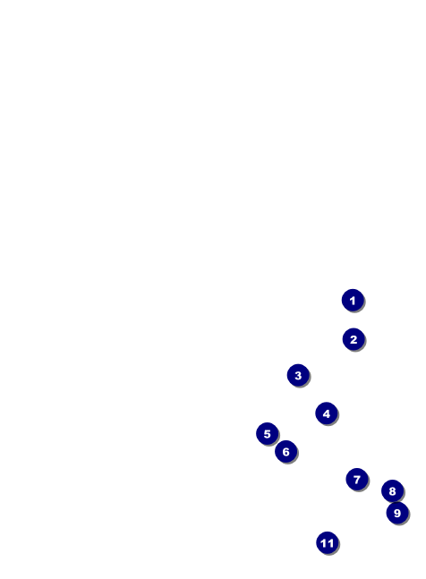 Net Ball Invitation Front Field Markers
