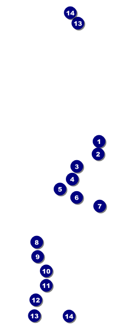 Net Ball Raffle Ticket Front Field Markers