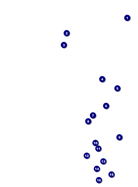 Horse Racing Flyer Front Field Markers