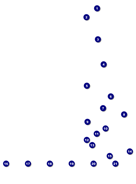 Cricket Tournament Image Flyer Front Field Markers
