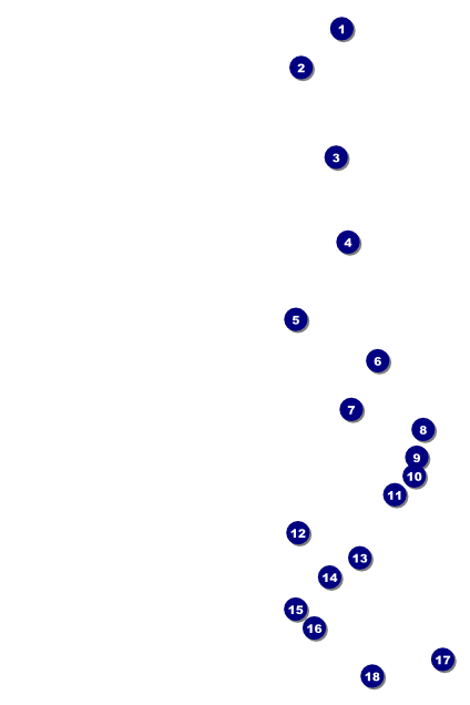 Cricket Tournament Poster Front Field Markers