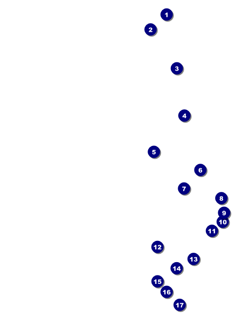 Cricket Tournament Invitation Front Field Markers