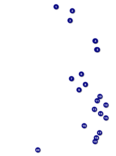 Grand Prix Flyer Front Field Markers