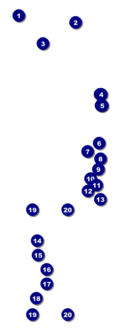 Grand Prix Raffle Ticket Front Field Markers
