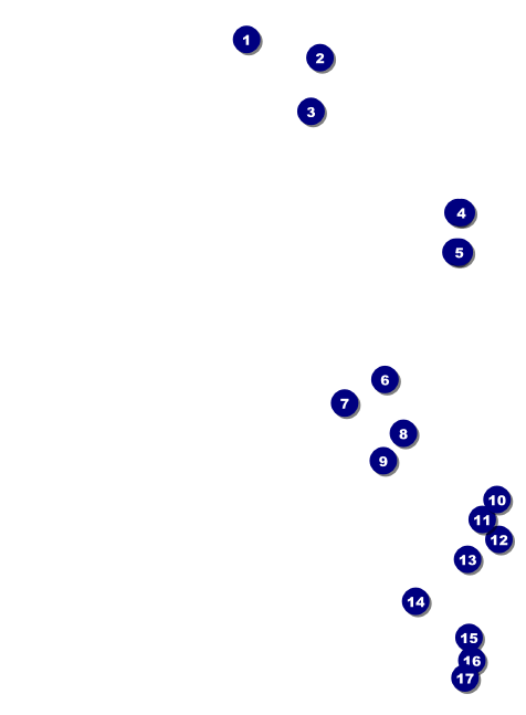 Grand Prix Invitation Front Field Markers