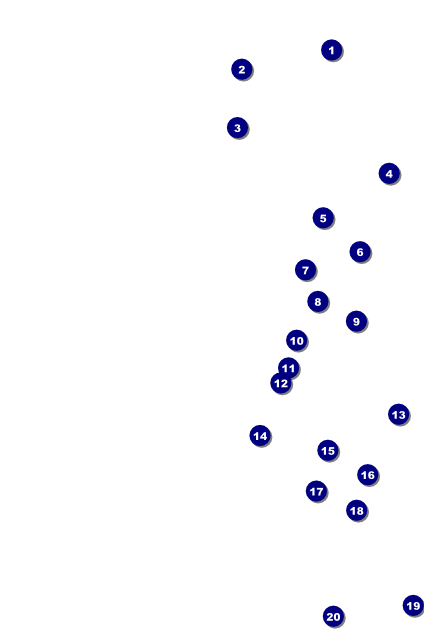 Sounds of Notes Poster Front Field Markers