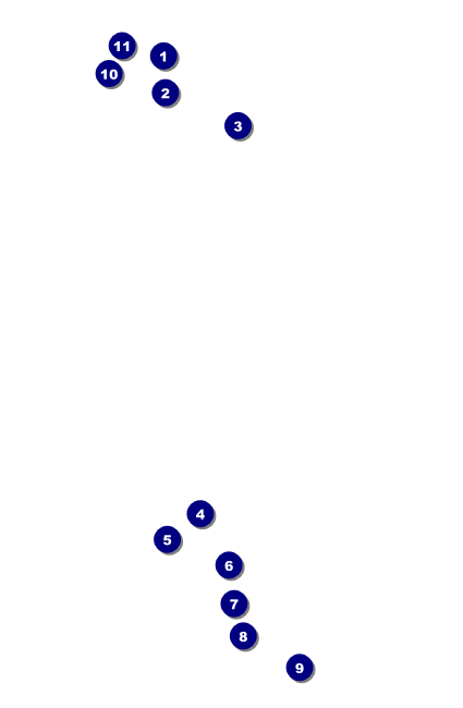 Net Ball Blue Drink Ticket Front Field Markers