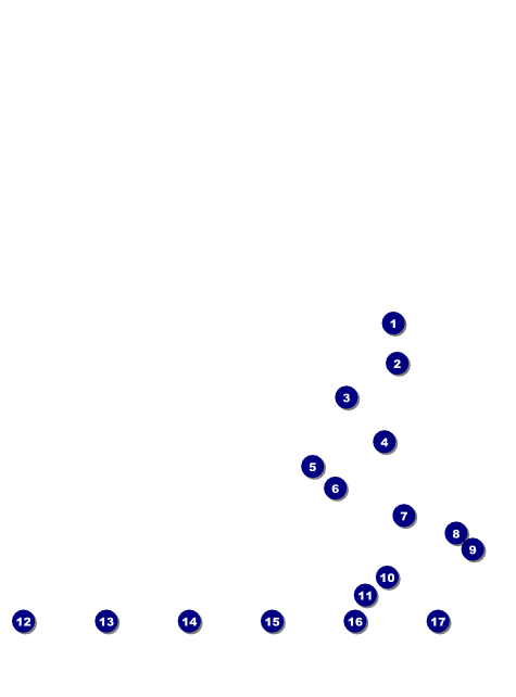 Net Ball Blue Image Flyer Front Field Markers