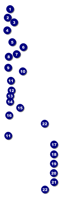Graduation - Blue and Yellow Raffle Ticket Front Field Markers